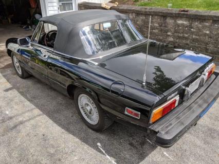 1981 Alfa Romeo Spider Veloce