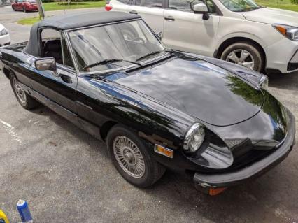 1981 Alfa Romeo Spider Veloce