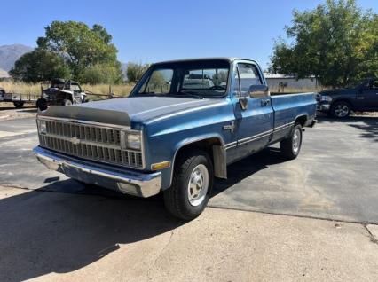 1981 Chevrolet C20