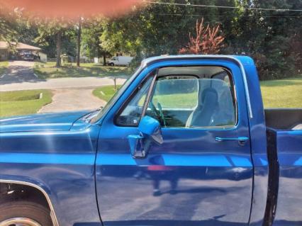 1981 Chevrolet C30