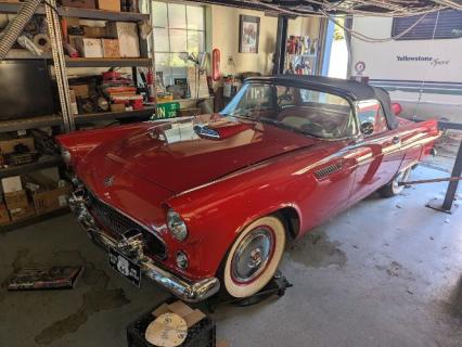 1955 Ford Thunderbird