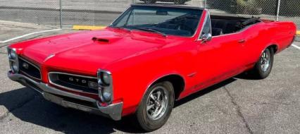 1966 Pontiac GTO  Tribute