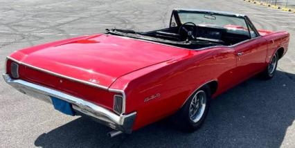 1966 Pontiac GTO  Tribute