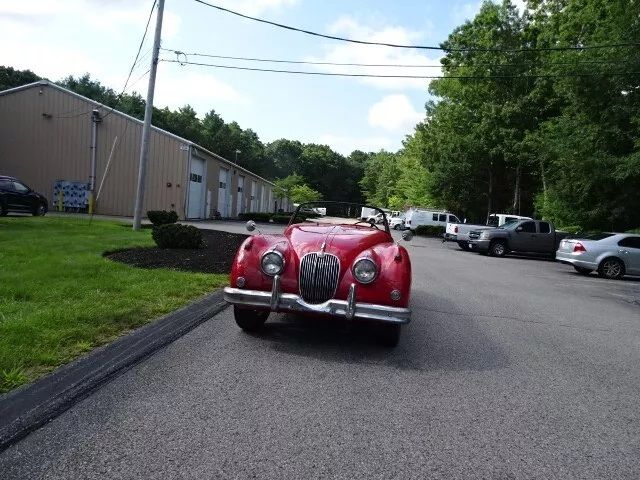 Image 8