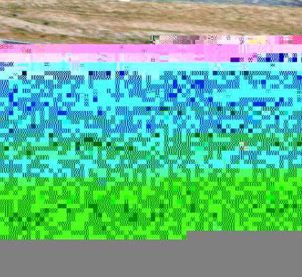 1979 Oldsmobile Cutlass