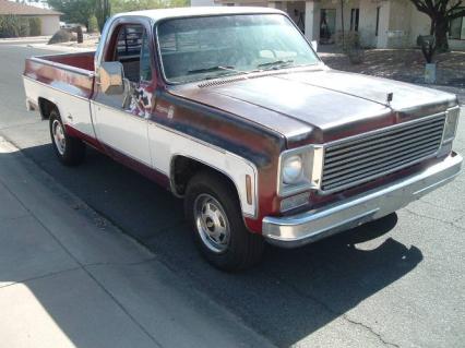 1976 Chevrolet Pickup
