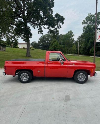 1977 Chevrolet Scottsdale