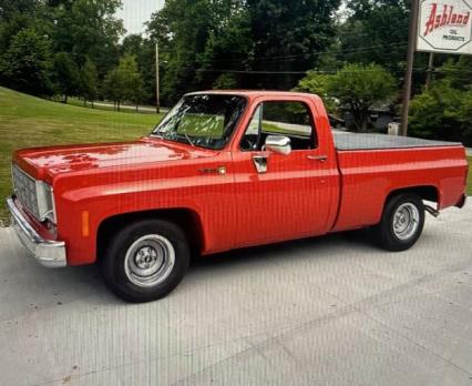 1977 Chevrolet Scottsdale