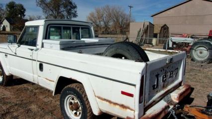 1979 Jeep J10