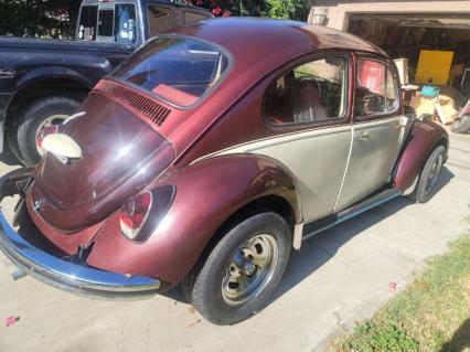 1969 Volkswagen Beetle