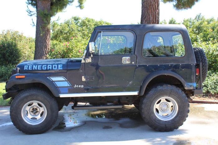 Image 22