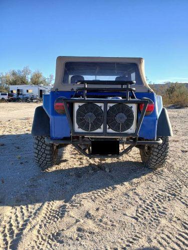 1974 Volkswagen Thing