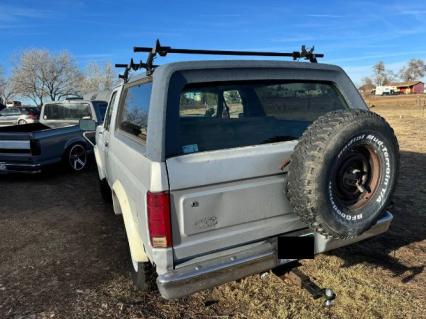 1984 Ford Bronco