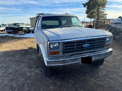 1984 Ford Bronco