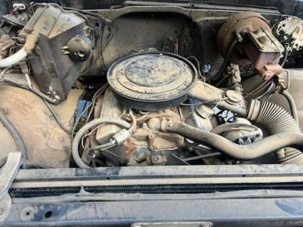 1969 Chevrolet C10