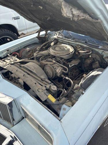1979 Mercury Cougar