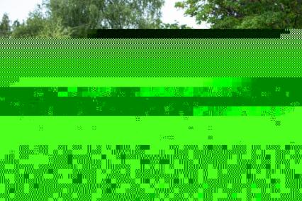 1982 Zimmer Golden Spirit