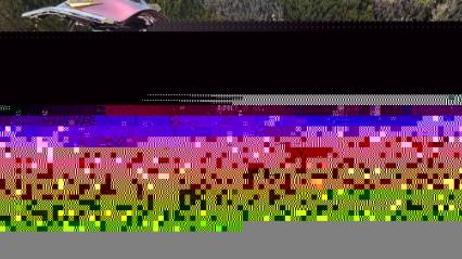 1967 Chevrolet Pickup