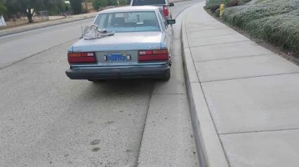 1982 Toyota Cressida