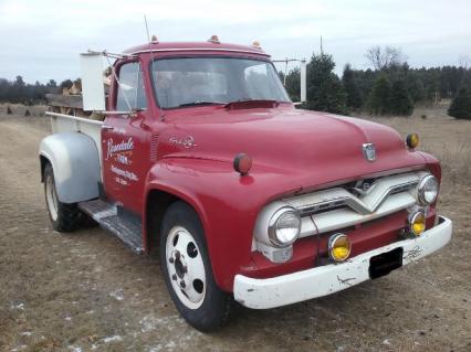 1955 Ford F600