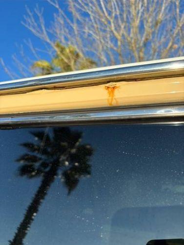 1981 Toyota Land Cruiser