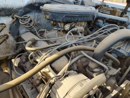 1983 Chevrolet Custom Deluxe