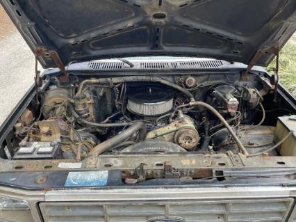 1983 Ford Bronco