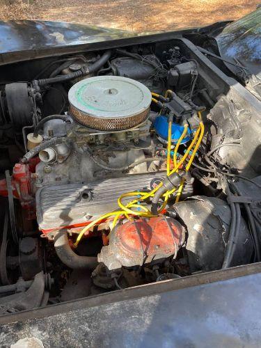 1979 Chevrolet Corvette