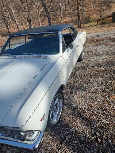 1966 Chevrolet Chevelle