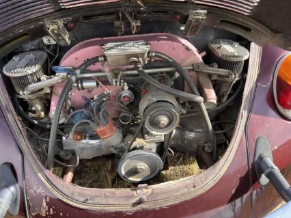 1974 Volkswagen Beetle