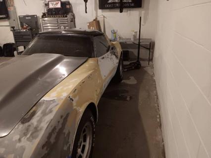 1981 Chevrolet Corvette