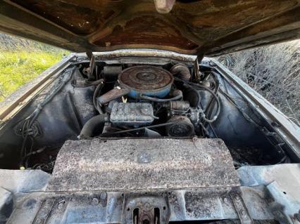 1966 Ford Thunderbird