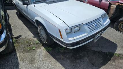 1984 Ford Mustang