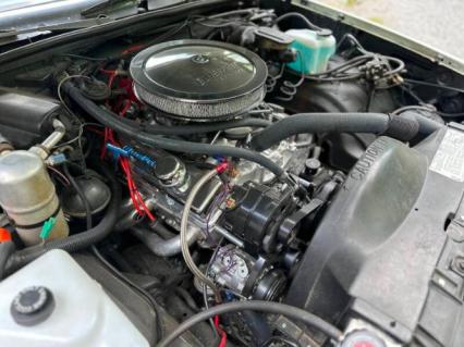 1981 Chevrolet El Camino