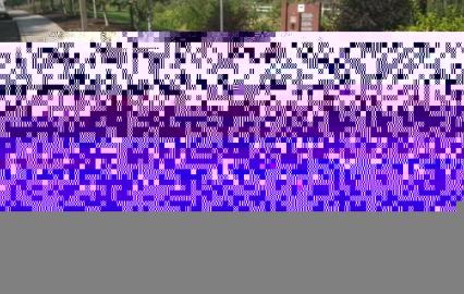 1979 International Scout