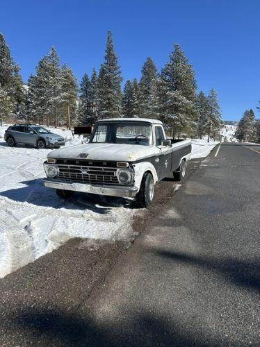 1966 Ford F100