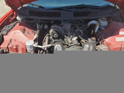 1957 Volkswagen Beetle