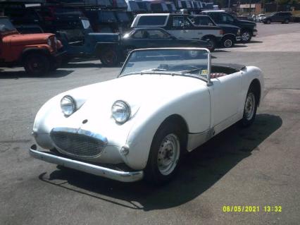 1959 Austin Healey Sprite