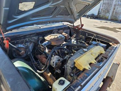 1977 Dodge D150