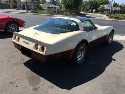 1981 Chevrolet Corvette