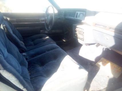1984 Oldsmobile Cutlass