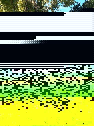 1982 Chevrolet Suburban