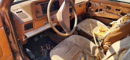 1981 Volkswagen Rabbit