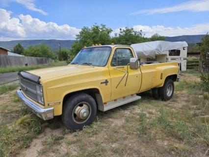 1982 Chevrolet Camper Special