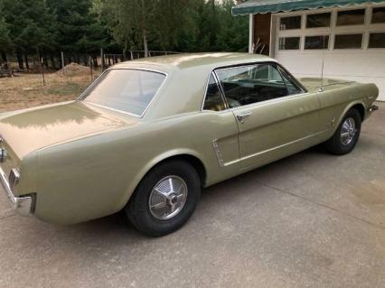1965 Ford Mustang