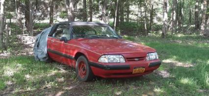 1991 Ford Mustang
