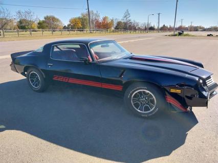 1980 Chevrolet Camaro