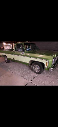 1979 Chevrolet C10