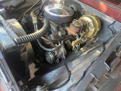 1965 Chevrolet Pickup