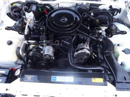 1992 Pontiac Firebird